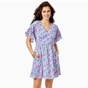 Lilly Pulitzer dress w pockets sz 2 ruffle Travel abstract colorful feminine art
